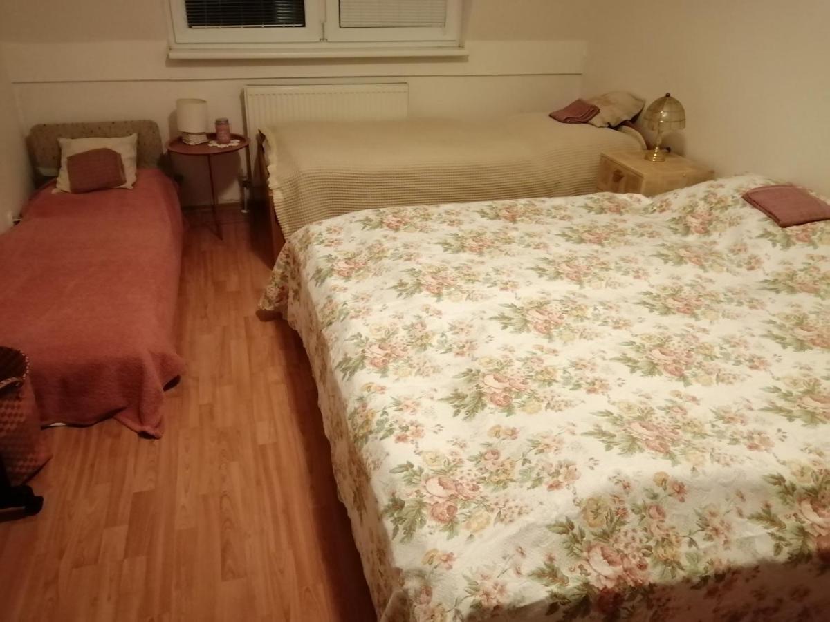 Emma Apartment Nová Lesná Екстериор снимка